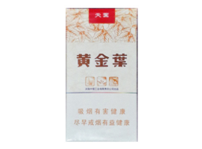 正品娇子香烟批发渠道